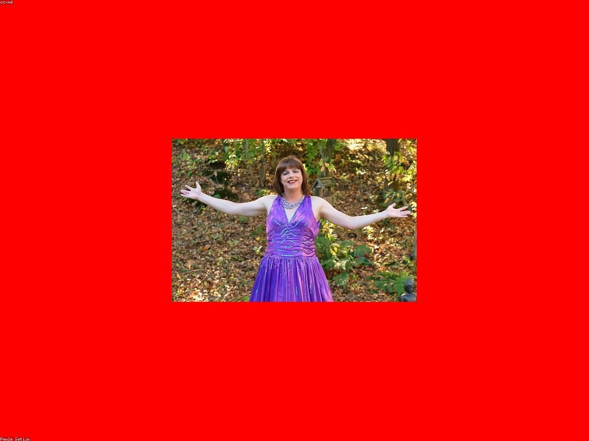 Imported Women's clothing for Sale