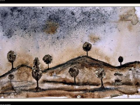 Slightly Used Art for Sale